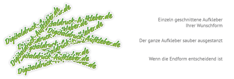 Einzelschnitt (ausgestanzt)